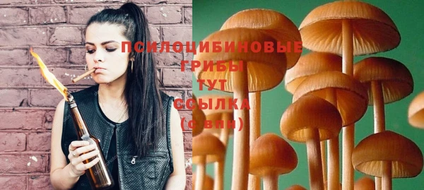 прущий лед Покров