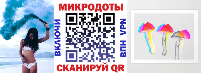 Галлюциногенные грибы Psilocybe  Туапсе 